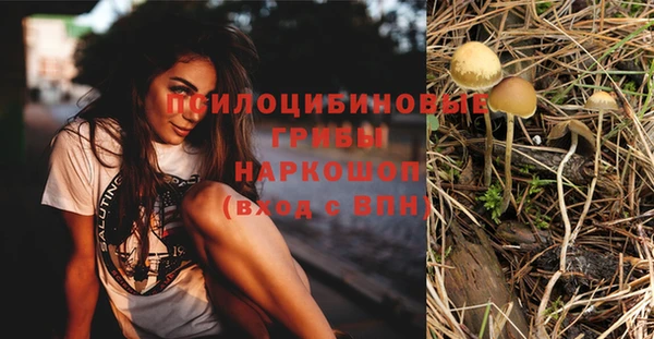 винт Алексин