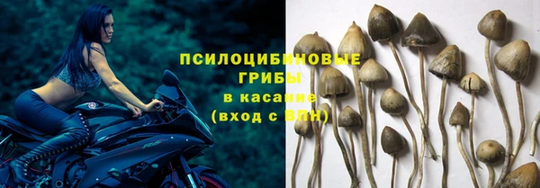 скорость Алзамай